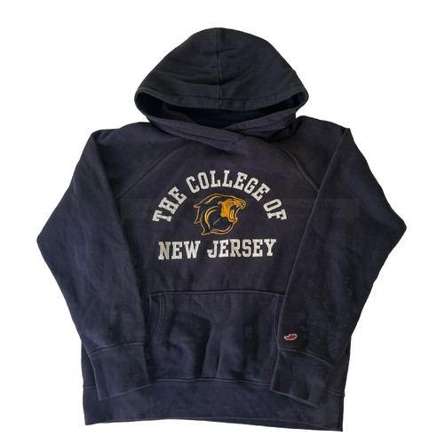 Tcnj the college - tcnj,