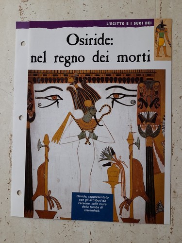 Clipping egitto storia - clipping,