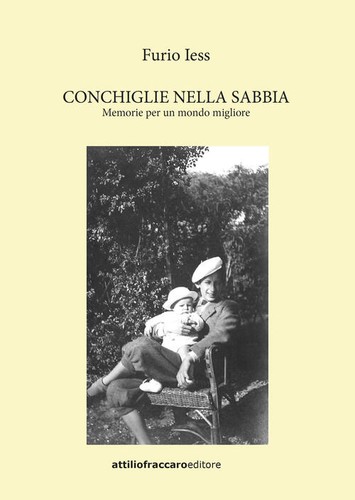 Conchiglie nella sabbia - conchiglie,