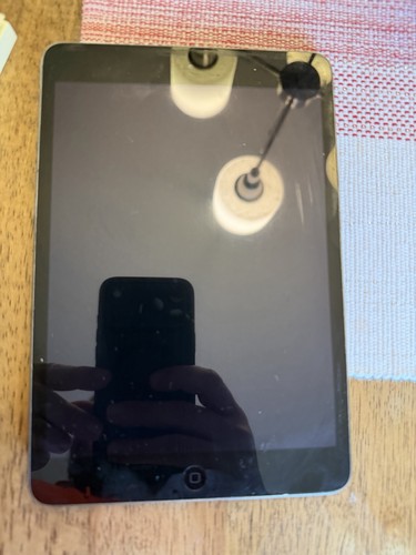 Apple ipad mini - ipad, 2