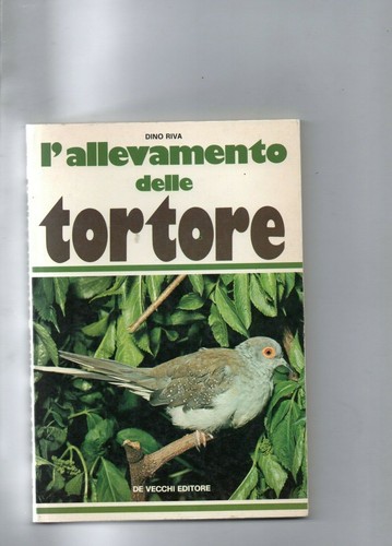 Tortore allevamento dino - ,,