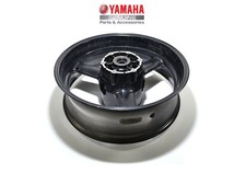 Cerchio posteriore cerchione