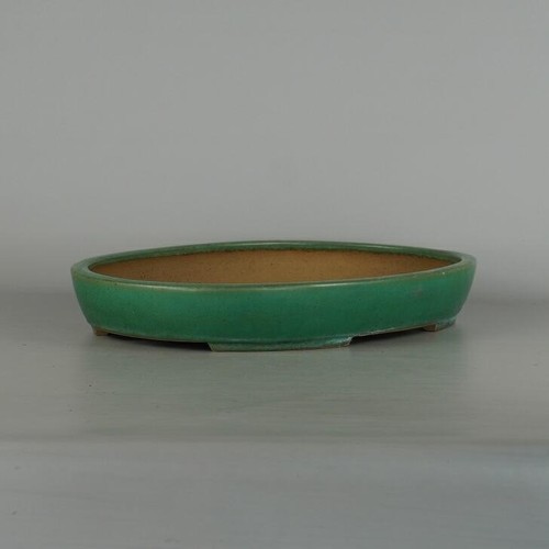 Grande vaso ovale per - , bonsai
