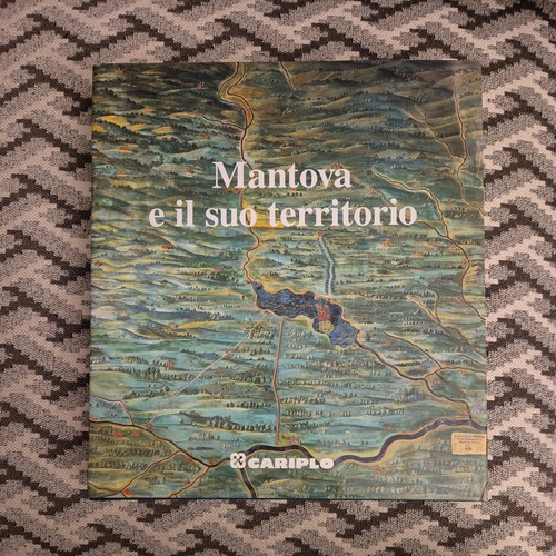 Libro mantova suo - e, il