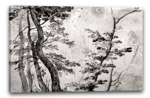 Tela cornice artista francese - tela/cornice,
