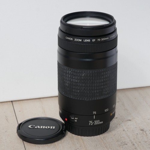 Canon 300 4 5 6 - mm, is