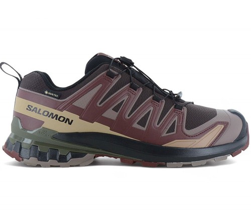 Salomon pro gtx - pro, v9