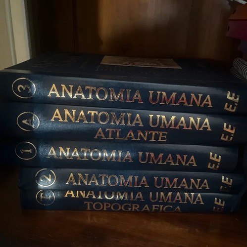 Libri anatomia umana anastasi - anatomia,