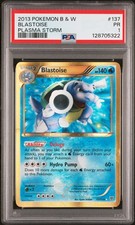2013 POKEMON BLACK & WHITE