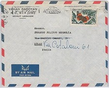 FARFALLE - LIBANO - STORIA POSTALE - COPERTINA