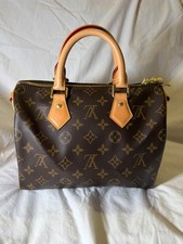 Louis Vuitton Monogram Speedy