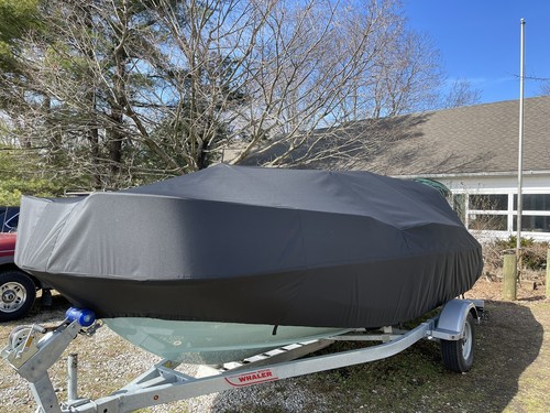 Boston whaler montauk - 17,