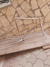 Telaio Bici Corsa Gasperini Campagnolo Shimano Dura Ace Forcella Alluminio C4