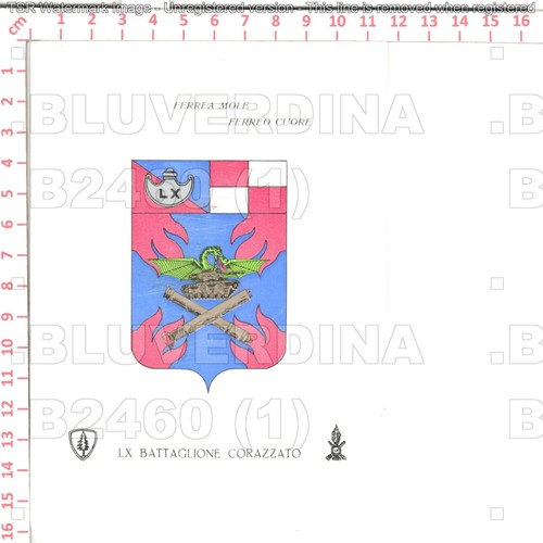 B2460 militare 60 - militare, lx