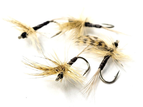 Quill gordon mosche - -,