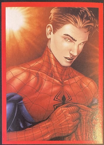 The amazing spider man panini - the,