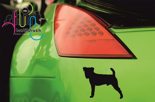 607 jack russel terrier - -,