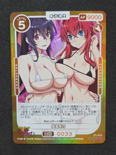 2024 osica highschool - 2024, dxd