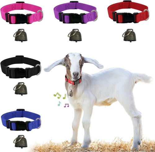 Confezione collari per - confezione, da