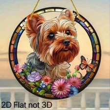 Yorkshire Terrier Farfalla