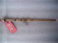 COLLARE CANE PUNK IN THE CITY