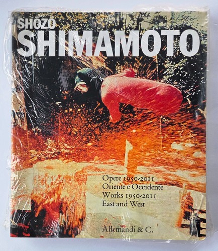 Italian shozo shimamoto art - italian,