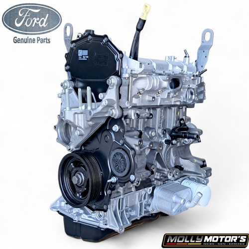Motore originale ford 0 - originale, 2.0