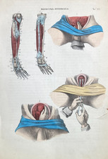 PAINTAIN