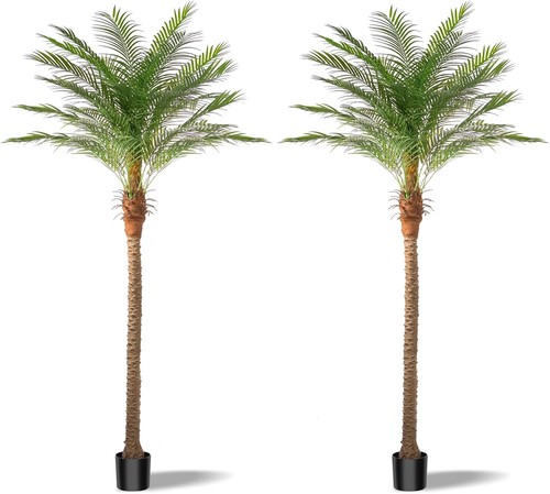 Artificial phoenix palm - phoenix,