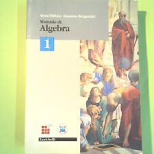 MANUALE DI ALGEBRA 1 TRIFONE BERGAMINI ZANICHELLI