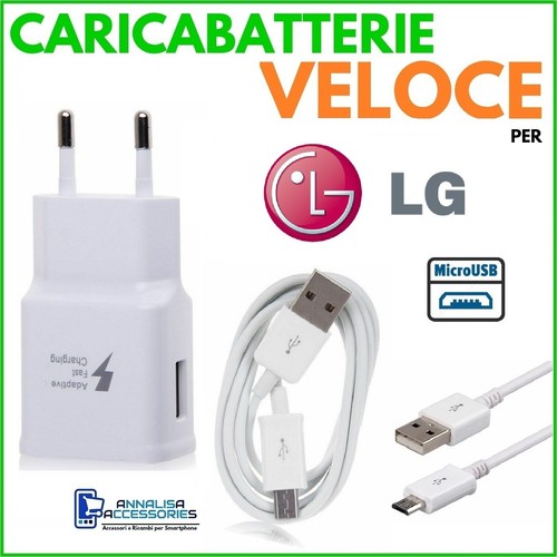 Caricabatterie veloce fast - caricabatterie,