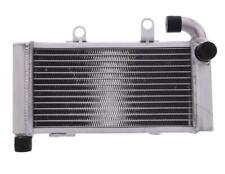 Radiatore acqua JMP Honda VTR