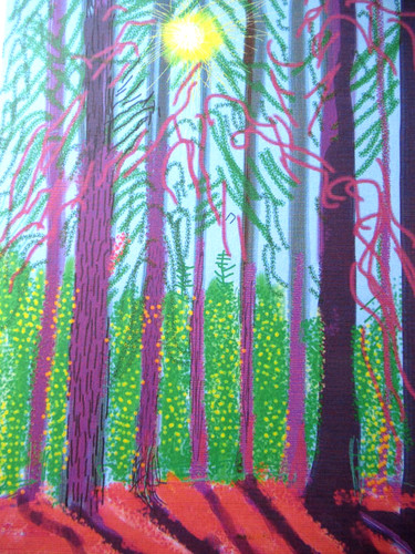 Litografia david hockney - litografia,