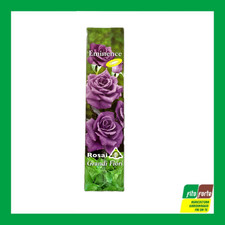 TALEE DI ROSE INNESTATE A