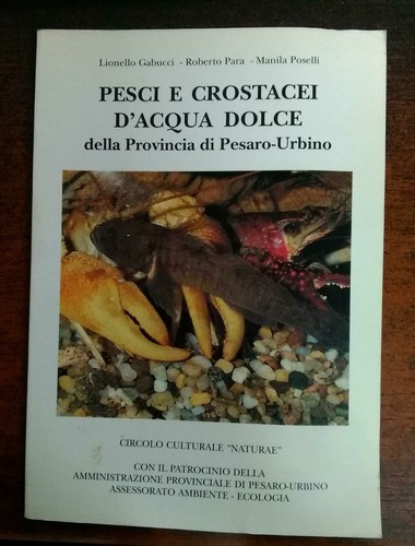 Pesci crostacei acqua - pesci, e