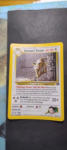 Giovanni persian 132 holo - giovanni's,