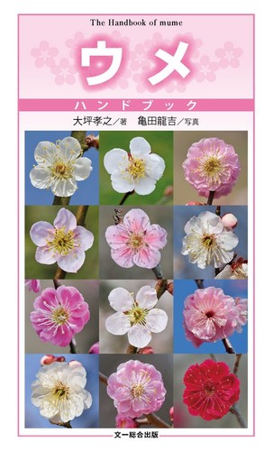 Plum prunus mume handbook 120 - plum,