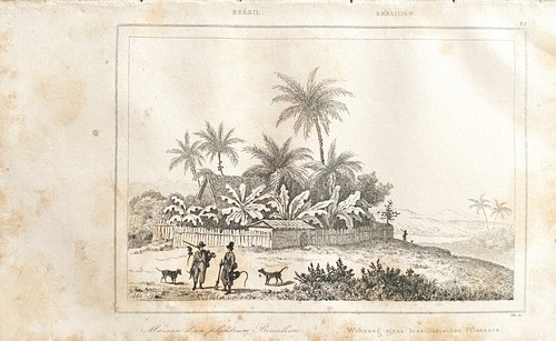 Gravure 1838 brasile casa - 1838, "
