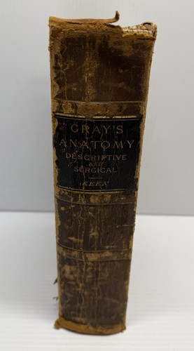 Gray anatomy descriptive - gray's,