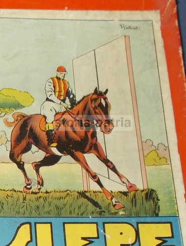 Sport ippica salto - sport_ippica_salto, ad