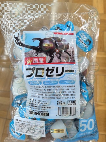 Maggiolino pro jelly - pro,