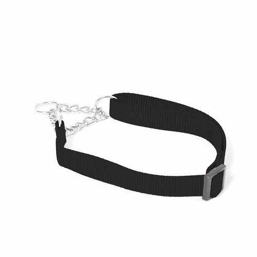 Collare nylon addestramento - collare,