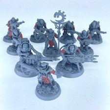 Neophyte Hybrids - Culti