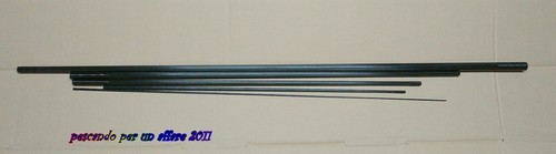 Canna roubaisienne light - canna,