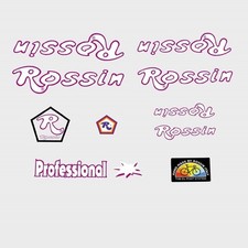 Rossin Adesivi Telaio Bicicletta Professionali - Decalcomanie - n.910
