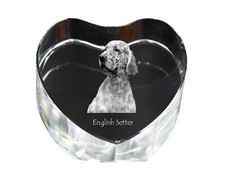 Setter inglese cuore di