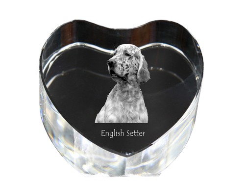 Setter inglese cuore - , di