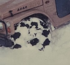 Catene Neve Konig Per