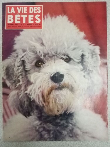 Vita degli animali 17 - n.,