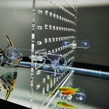 Divisore acquario pesci